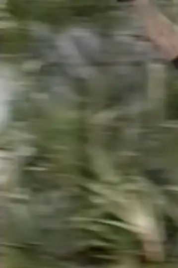 Cida, a Gata Roqueira