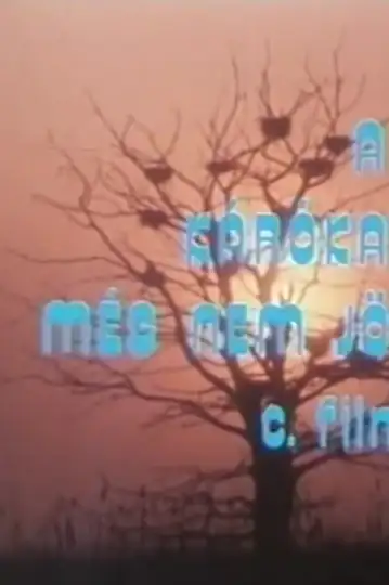 A kárókatonák még nem jöttek vissza