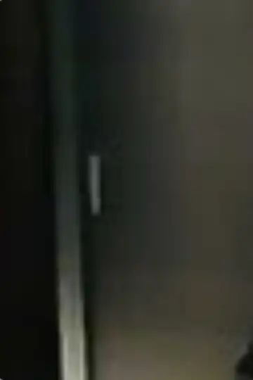 If They'd Asked for a Lion Tamer