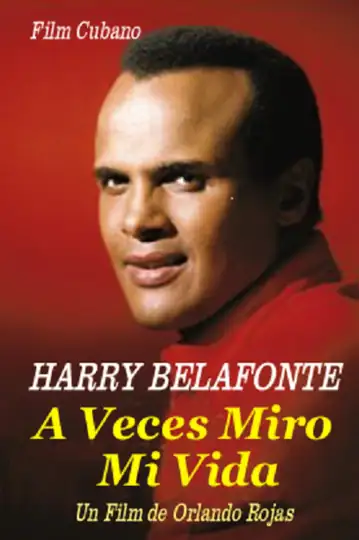 A veces miro mi vida