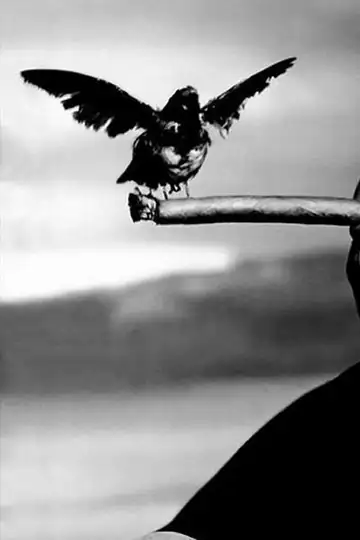 Hitchcock: Shadow of a Genius