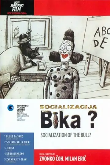 Socialisation of a Bull