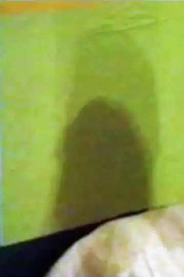 Bordertown: A Journey with Barry Gifford