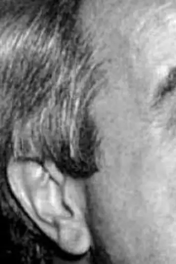 Qui a tué le juge Falcone?