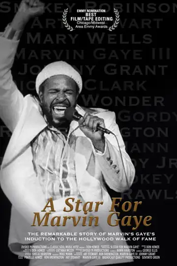 A Star for Marvin Gaye