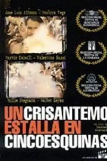 A Crysanthemum Bursts in Cincoesquinas