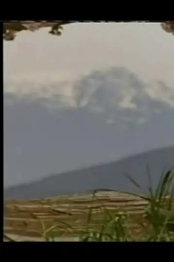 The Accident: A Moment of Truth Movie