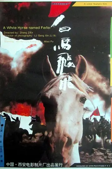 A White Horse Named Feifei