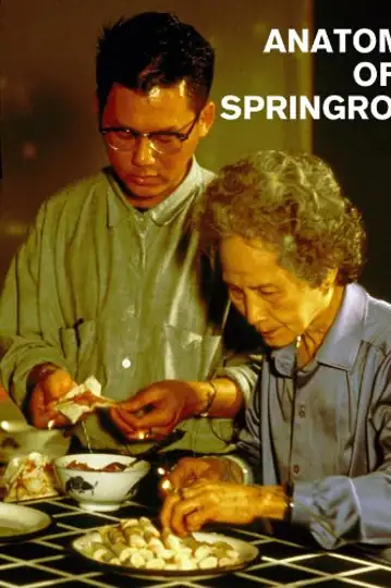 Anatomy of a Springroll