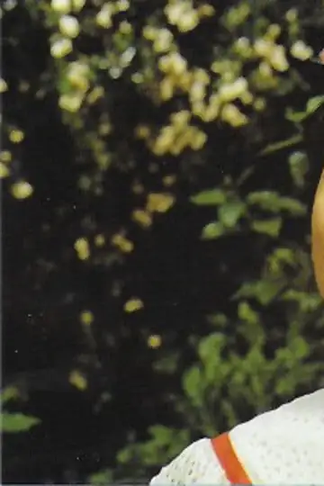 A Dream of Venus Butterfly