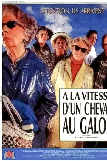 À la vitesse d'un cheval au galop