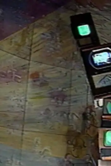 Play It Again, Nam! A Portrait of Nam June Paik