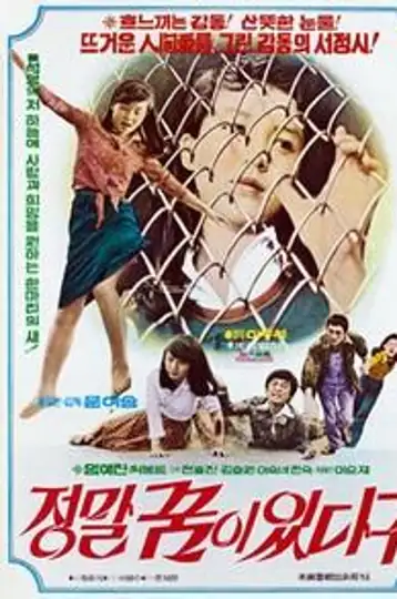 I Really Have a Dream