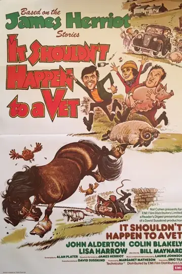 It Shouldn't Happen to a Vet