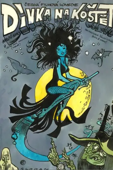 The Girl on a Broomstick