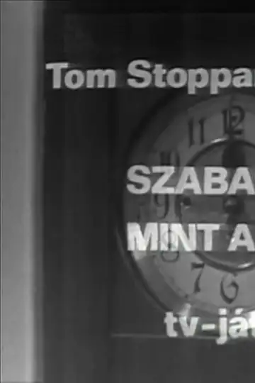 Szabad, mint a madár