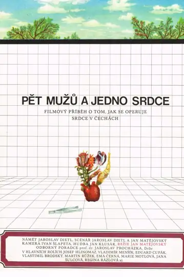 Pet muzu a jedno srdce