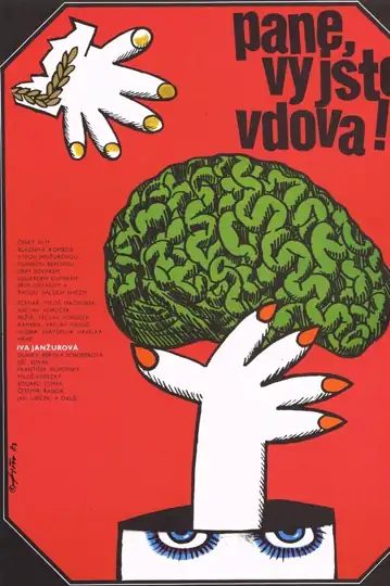 Você é uma viúva, senhor!