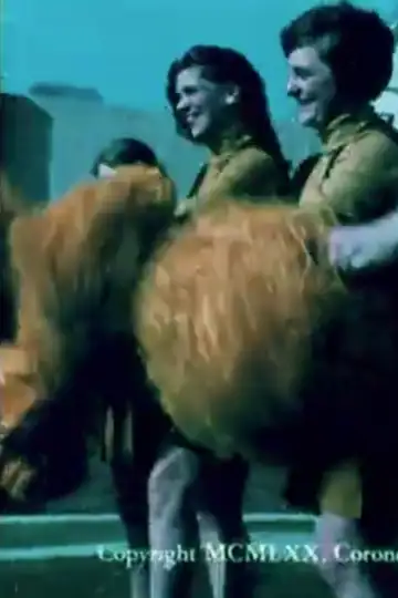 Anatomy of a Teenage Courtship