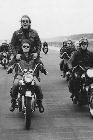 Vilde engle - en minoritet i Danmark