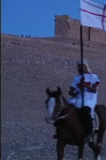 I cavalieri di Malta