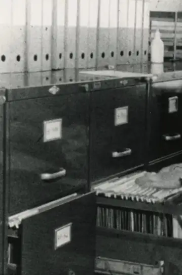 Jeg vil bo i Danmark