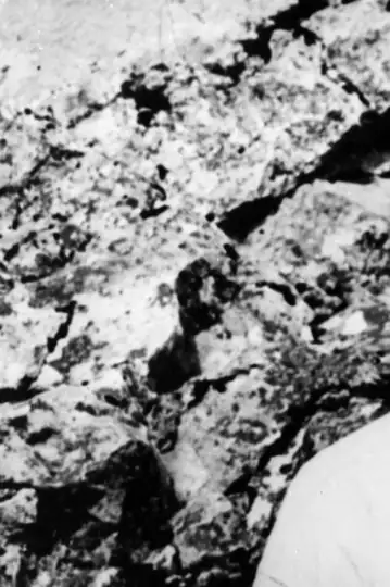 A Matter of Conscience