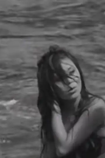 Foreign Correspondent: In the Case of a Videographer