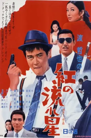 Como uma Estrela Cadente