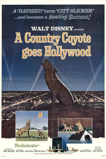 A Country Coyote Goes Hollywood