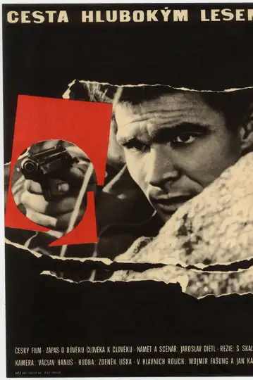 Passing Through a Thick Forest