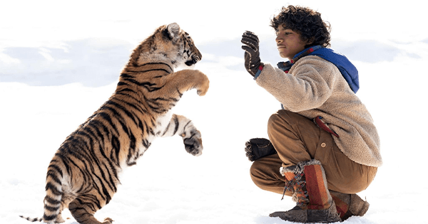 El niño y el tigre