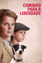 Filmelier Image