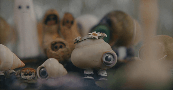 Marcel, a Concha de Sapatos