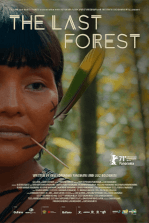 The Last Forest The Last Forest