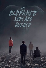 Um Elefante Sentado Quieto Um Elefante Sentado Quieto