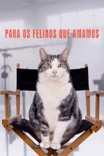 Para os Felinos que Amamos