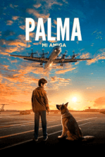 Palma, mi amiga: Un niño encuentra a una perra abandonada en un aeropuerto soviético y juntos descubren el significado de la familia. Filmelier Image