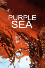 Purple Sea Purple Sea