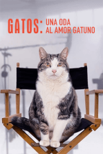 Gatos: Una oda al amor gatuno