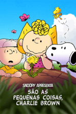 Snoopy Apresenta: São As Pequenas Coisas, Charlie Brown
