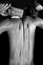 Febre do Rato Febre do Rato