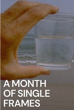 A Month of Single Frames